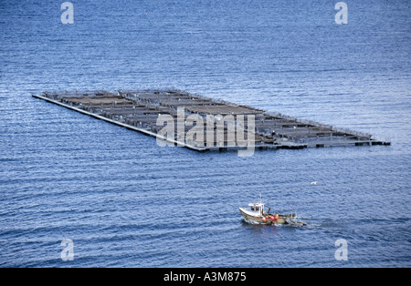 Loch Ainort Isle Of Skye kleines Fischerboot vorbei Lachs Fischfarm schwebende Stifte Stockfoto