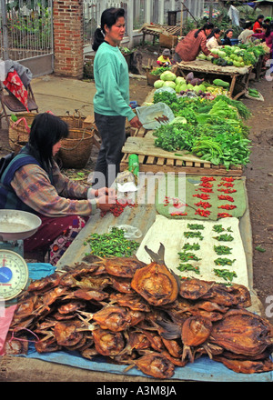 Frauen im Allgemeinen im freien Markt verkaufen getrockneter Fisch und frisches Gemüse, Luang Prabang, Laos. DM2 Stockfoto