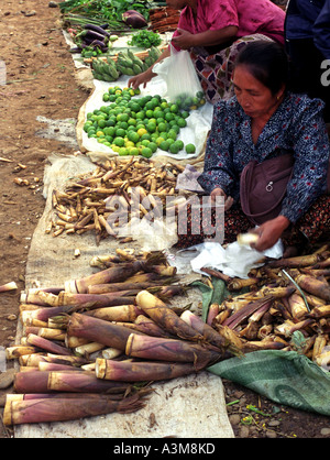 Frauen und junge Mädchen verkaufen, Bambus-Sprossen und frische Limetten im outdoor-Markt in Vang Vieng, Laos. ENR Stockfoto