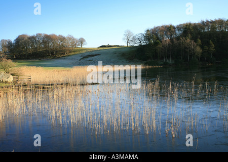 Karosserieteile Tarn im englischen Lake District im Winter mit einer Hülle aus Eis Stockfoto