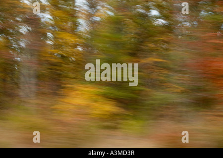 Autobahn Bewegung Bäume fallen Autum Herbstsaison saisonale Stockfoto