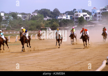 Phu Rennstrecke Tho in Ho-Chi-Minh-Stadt (Saigon) Vietnam wo Kind jockeys Miniatur Rennpferde und das Glücksspiel ist intensiv Stockfoto