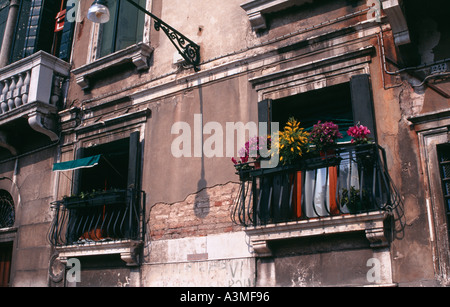 Eine bunte Anzeige von Alpenveilchen und andere Pflanzen in Töpfen auf dem Balkon eines Fensters in Venedig Italien Stockfoto