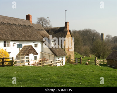 Oxfordshire Hook Norton idyllischen reetgedeckten Landhaus zu verkaufen Stockfoto