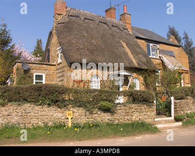 Oxfordshire Hook Norton die alte Chirurgie Reetdachhaus Stockfoto