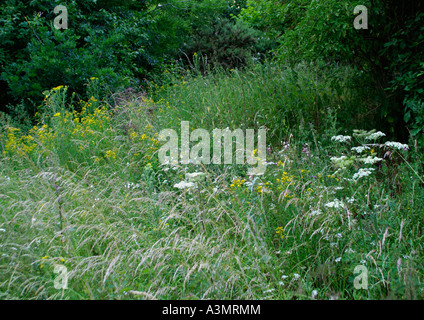 Rodside Rande in England Stockfoto