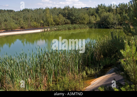 Restwasser sauberen Teich für den Einsatz im Kieswerk Aufbereitungsanlage Stockfoto