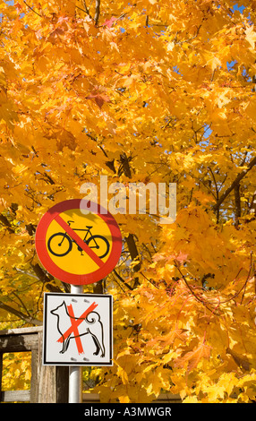 Bunte gelbe Ahorn (acer) Baum Blätter. Finnisches Verkehrsschild Nummer 322. ( kein Eintrag für Fahrräder oder Mopeds ) auch verweigert Hunde , Finnland Stockfoto