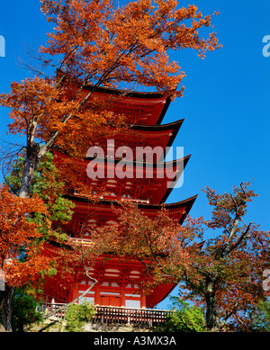 Die fünf sagenumwobenen Pagode mit einem Baum in Herbstfarben Miyajima Insel Hiroshima Japan Stockfoto