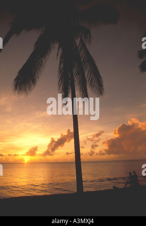 Tropen-paar am Strand neben Palme bei Sonnenuntergang Stockfoto