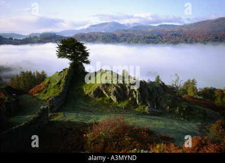 Ruhigen Blick auf einen Ginsterstrauch über dem Nebel in Grasmere Lake District National Park Cumbria England Vereinigtes Königreich Stockfoto