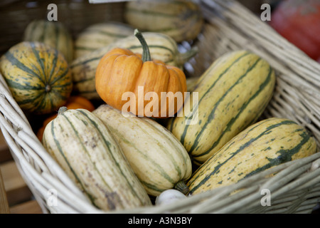 Frisches Bio-Gemüse squash Kleinod zum Verkauf im shop Stockfoto