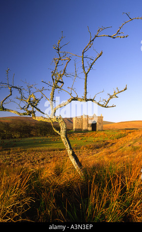 Licht des frühen Morgens auf die unheimliche einsame düster böse Ruine des Hermitage Castle Liddesdale schottischen Grenzen Schottland Großbritannien Stockfoto