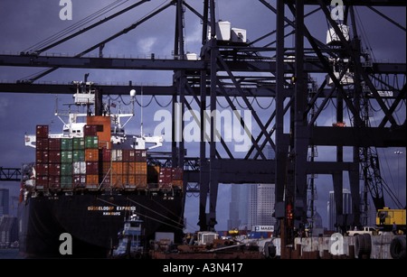 Angedockte Containerschiff neben Kränen be- und entladen Stockfoto