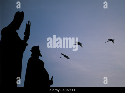 Statuen und Vögel auf der Karlsbrücke, Prag, Tschechische Republik Stockfoto