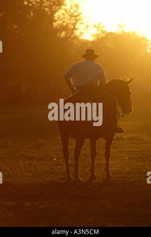 Argentinische Gaucho und His Horse bei Sonnenuntergang, Fiesta De La Tradicion, San Antonio de Areco, Provincia de Buenos Aires, Argentinien Stockfoto