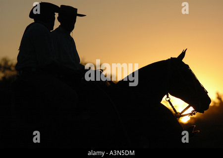 Silhouette Gauchos bei Sonnenuntergang, Fiesta De La Tradicion, San Antonio de Areco, Provincia de Buenos Aires, Argentinien Stockfoto