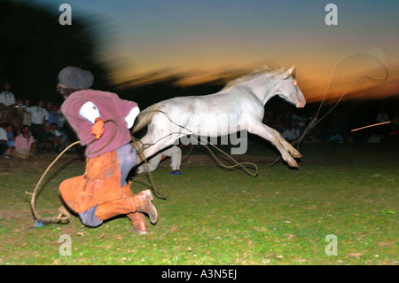 Gaucho versucht die 'Pialada', Fiesta De La Tradicion, San Antonio de Areco, Provincia de Buenos Aires, Argentinien Stockfoto