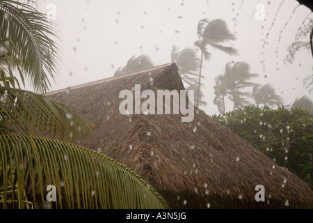 Regen Moorea Französisch-Polynesien Stockfoto