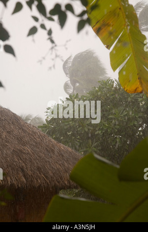 Regen Moorea Französisch-Polynesien Stockfoto