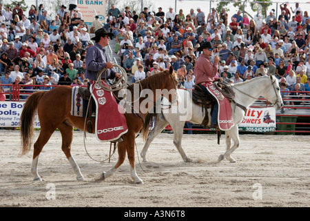 Miami Florida, Homestead, Championship Rodeo, Cowboys, Pferde, Lasso, Publikum, Menschenmenge, Tribüne, FL060130540 Stockfoto