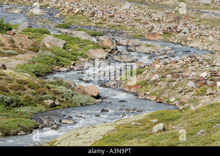 Plimabach Fluss im oberen Martelltal Stockfoto