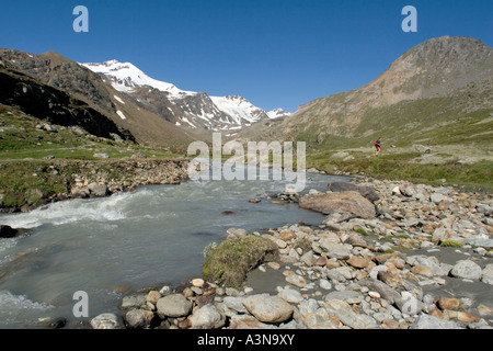 Wanderer im roten Shorts Plimabach Fluss im oberen Martelltal mit dem Cevedale-Gletscher im Hintergrund Stockfoto