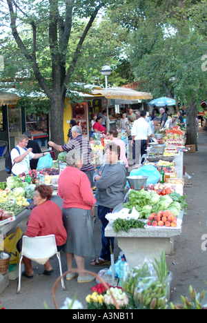 Blume Obst- und Gemüsemarkt in Trogir Kroatien Stockfoto