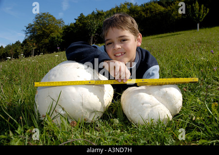 Junge mit Giant Puffball Stockfoto