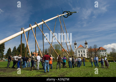 Schlehdorf / Erhöhung der Maibaum Stockfoto