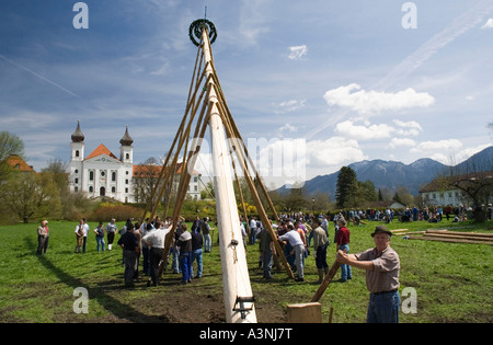 Schlehdorf / Erhöhung der Maibaum Stockfoto