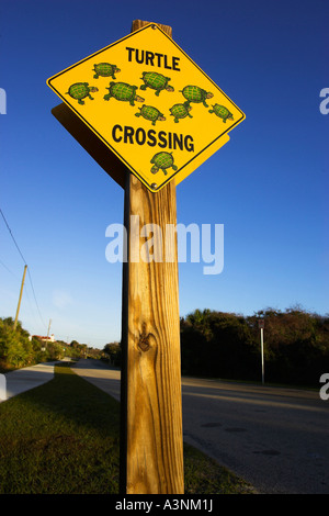 Daytona Beach Stockfoto