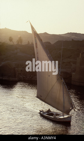 Die Feluke mit Touristen auf dem Nil. Ägyptischen Segelboot vor der Wüste Sahara. Assuan. Ägypten. Nordafrika. Stockfoto