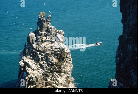 Speedboat vorbei Tölpel Kolonie Vögel nisten auf Meer Stapel am Ostende der Insel Irlands Auge, County Dublin, Irland. Stockfoto