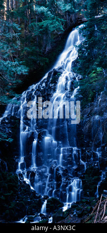 Ramona verliebt sich in der Willamette National Forest of Oregon Stockfoto