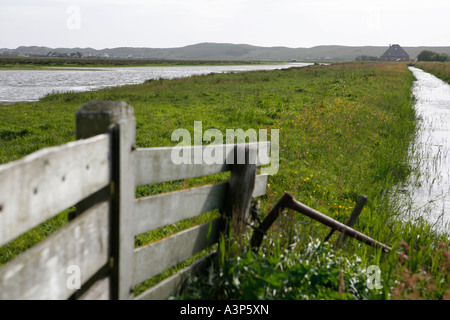 Typische holländische geschützte Landschaft nahe der Küste (Deutschland 2006) Stockfoto