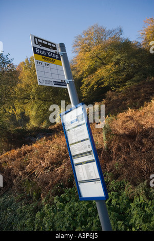 BUS STOP-SCHILD AUF LANDSTRAßE IM FOREST OF DEAN GLOUCESTERSHIRE UK HERBST Stockfoto