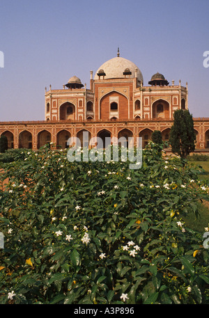 Indien-Delhi Roten Fort Stockfoto