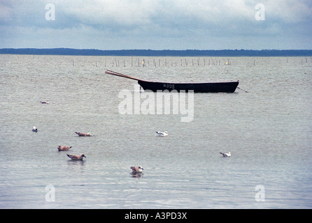 Ein Ruderboot auf dem Kurischen Haff, Juodkrante, Litauen Stockfoto