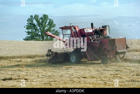 Mähdreschers auf ein Getreidefeld, Litauen Stockfoto