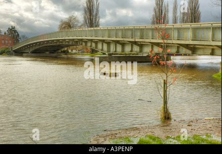 Fluß Severn bricht seinen Ufern an Upton auf Severnbrücke gebaut 1940 Stockfoto