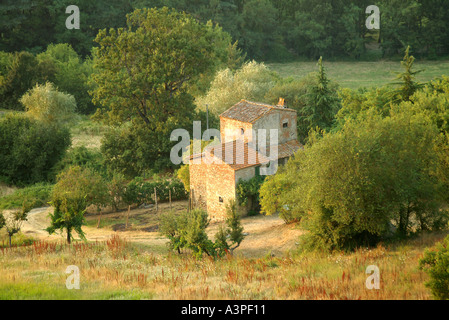 Klassischen umbrischen Landschaft im Sommer Stockfoto