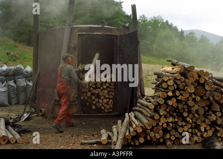 Köhler, arbeiten bei der Herstellung von Holzkohle im Bieszczady-Gebirge, Smerek, Polen Stockfoto