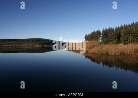 Alwen resevoir Stockfoto