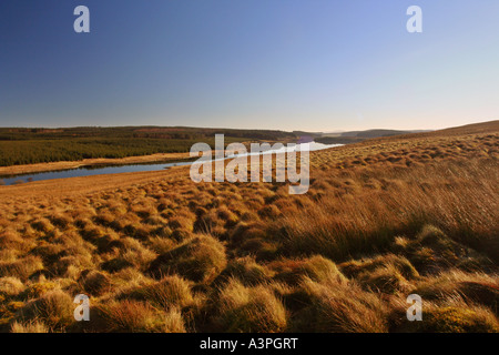 Alwen resevoir Stockfoto