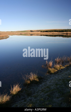 Alwen resevoir Stockfoto