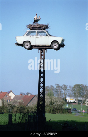 Ein Nest von Störchen auf einen Trabant, Neuruppin, Deutschland Stockfoto