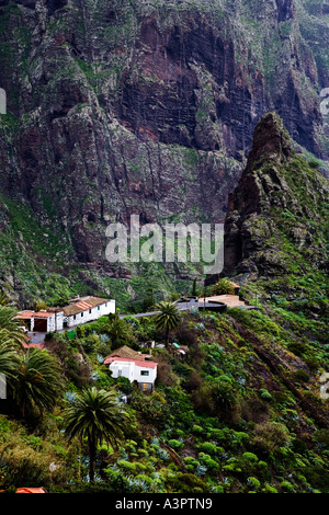 Berg-Dorf Masca im rauen Norden West Teneriffa Kanaren Spanien Stockfoto