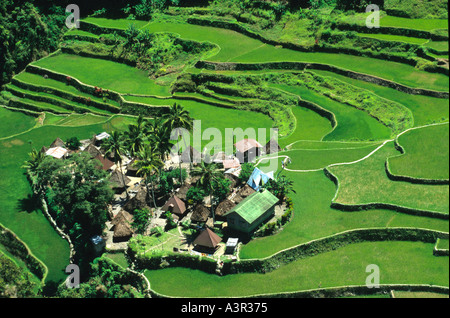 Jahr 2000 sind alte Banaue Reis-Terrassen auf der Insel Luzon auf den Philippinen, ein UNESCO-Weltkulturerbe und Heimat Ifugao Stamm Stockfoto