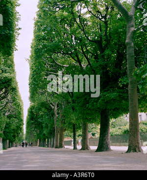 Jardin des Plantes in der Stadt von Paris In Frankreich In Europa Stockfoto